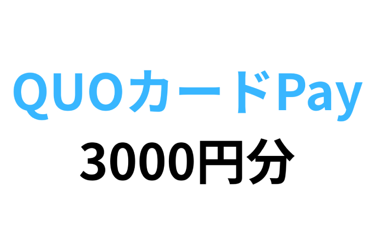 QUOカードPay 3,000円分