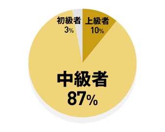 上級者 10% / 中級者 87% / 初級者 3%