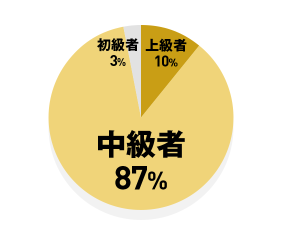 上級者 10% / 中級者 87% / 初級者 3%